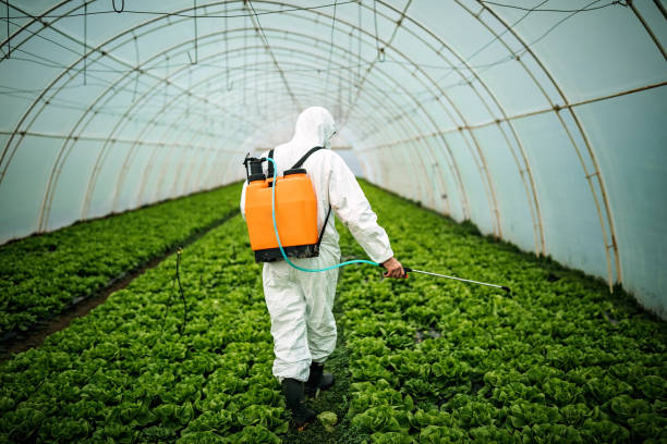 Best Pest Control Cost  in Wayne, PA